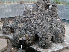 android_upload_pic-福州动物园