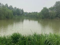 -白鹭湾湿地公园