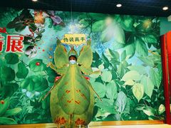 -上海昆虫博物馆