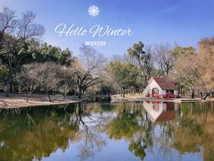 -上海共青森林公园