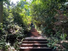 -潜山国家森林公园