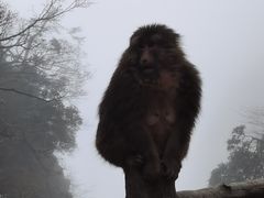 -峨眉山风景名胜区