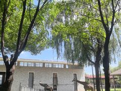 -石家庄市动物园