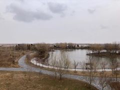 -盐城丹顶鹤湿地生态旅游区