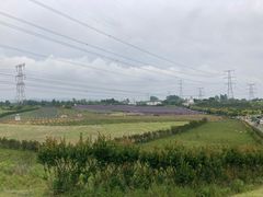 -紫颐香薰山谷景区