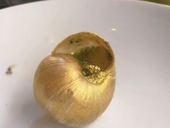 -金蜗牛