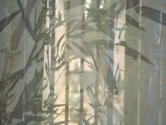 -四川宋瓷博物馆