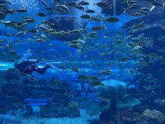 -上海海昌海洋公园