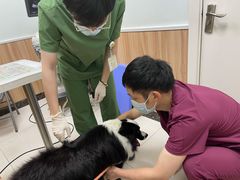 -瑞鹏宠物医院·内科·中兽医·骨科(苗圃店)