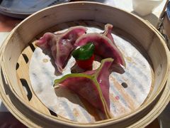 -点都德·毕德寮