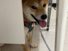 -萌兽医馆·眼科·异宠专科(三里屯店)