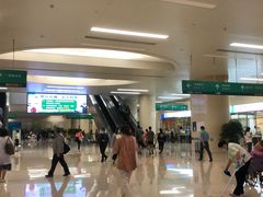 -中国人民解放军总医院(301医院)