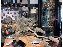 -尽膳·鱼鲜川菜(宽窄巷子店)