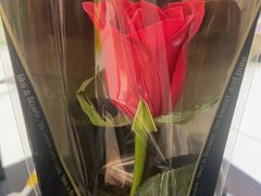 -水哥卜卜贝(东晓·胜汇里店)