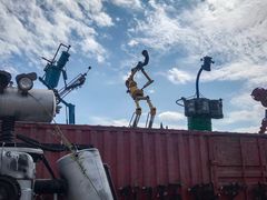 -上海长兴岛郊野公园