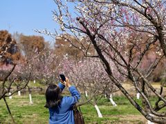 -上海海湾国家森林公园