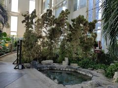 -中家鑫园温泉酒店鑫悦汤泉