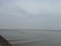 -观潮胜地公园