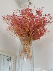 -香秀空间科技抗衰·美容中心