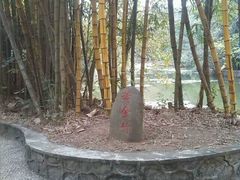 android_upload_pic-广西壮族自治区药用植物园