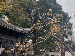 -常熟方塔园