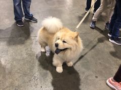 -香港会议展览中心演讲厅