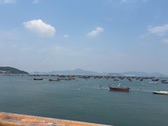-春妮海味饭店·海景餐厅·海菜包子·大连海鲜