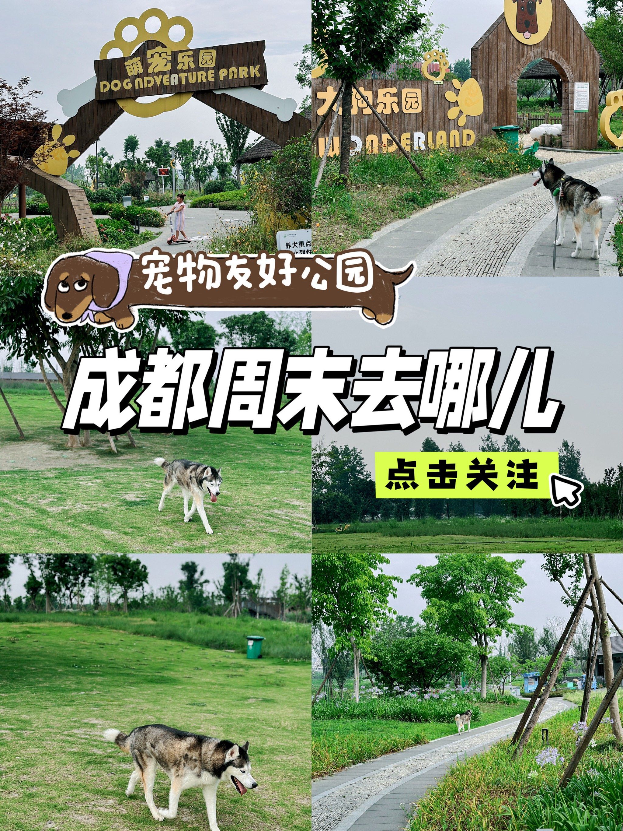 成都周边30mins可达宠物友好公园