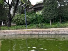 -团结湖公园