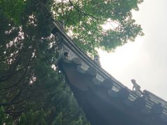 -秋霞圃