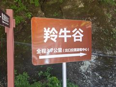 -牛背梁国家森林公园