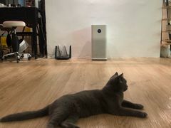 -iF摄影•全家福•证件照•形象照(南山店)