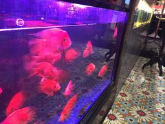 -咕嘟草帽鱼·牛奶一样的鲜鱼汤(包河万达广场创始店)