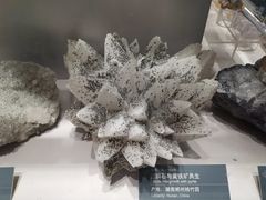 -中国地质博物馆