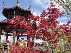 -白帝城·瞿塘峡景区