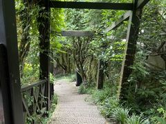 -杭州半山国家森林公园