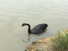 -琅岐红光湖公园