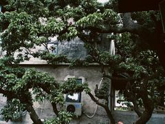 -万科生活广场(东莞松山湖店)
