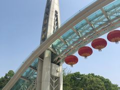 -南山植物园