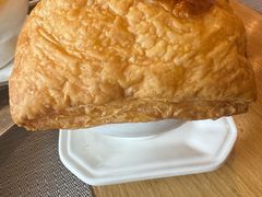 -齐河孔雀王温泉酒店·金孔雀自助百汇