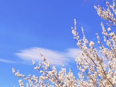 -颐和园