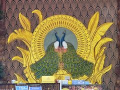 -西双版纳原始森林公园