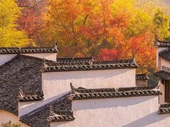 -塔川景区