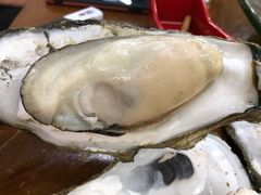 -蚝得喜海鲜(东城店)