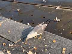 -星海广场