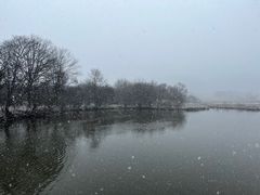 -大九湖