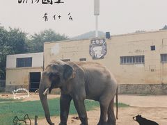 -无锡动物园·太湖欢乐园