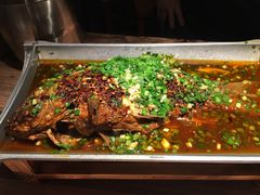 香辣炝锅鱼-树厨贵州菜(大十字店)