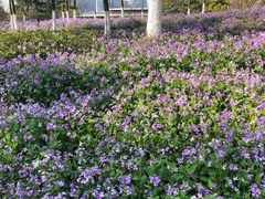 -白塘生态植物园