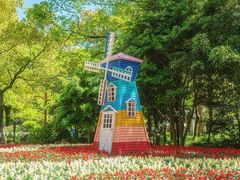 -上海共青森林公园